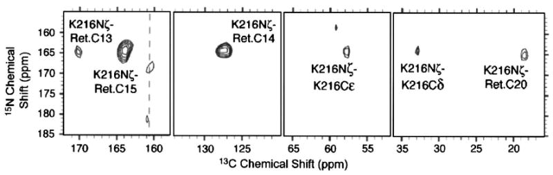 Fig. 14