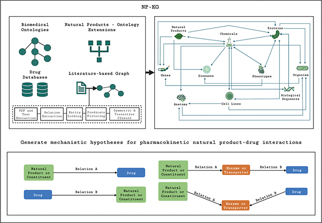 graphic file with name nihms-1887688-f0001.jpg