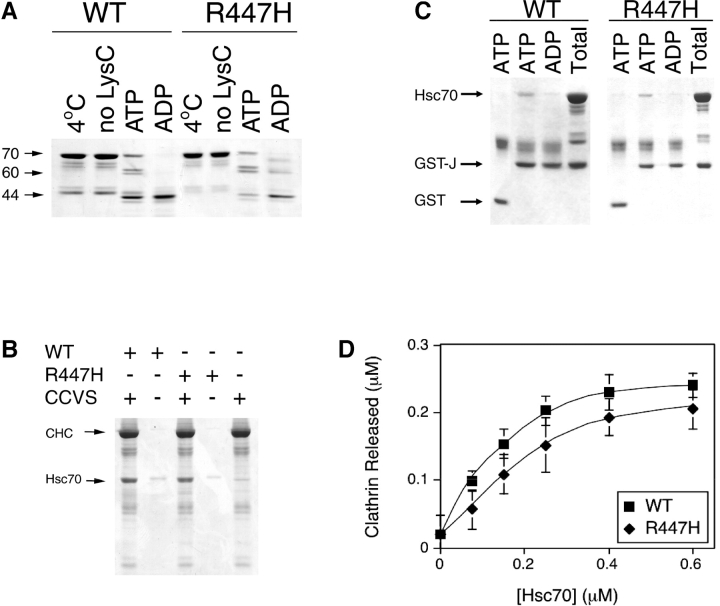 Figure 6.