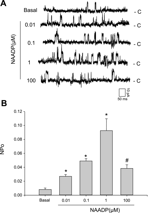 Fig. 3.