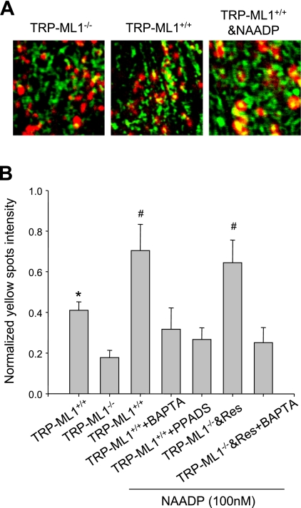 Fig. 6.