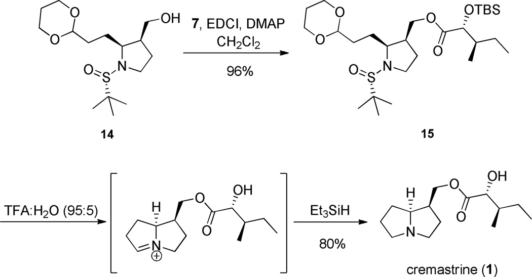 Scheme 5