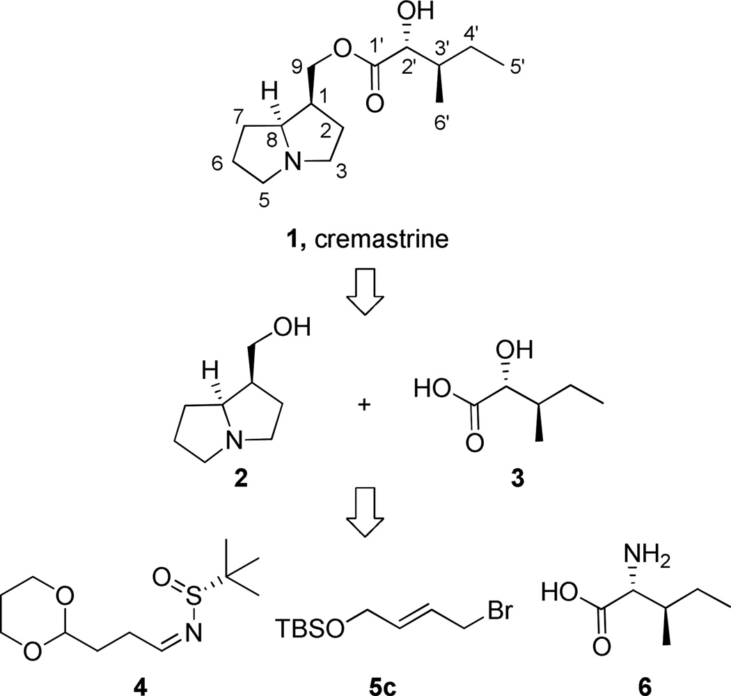 Scheme 1