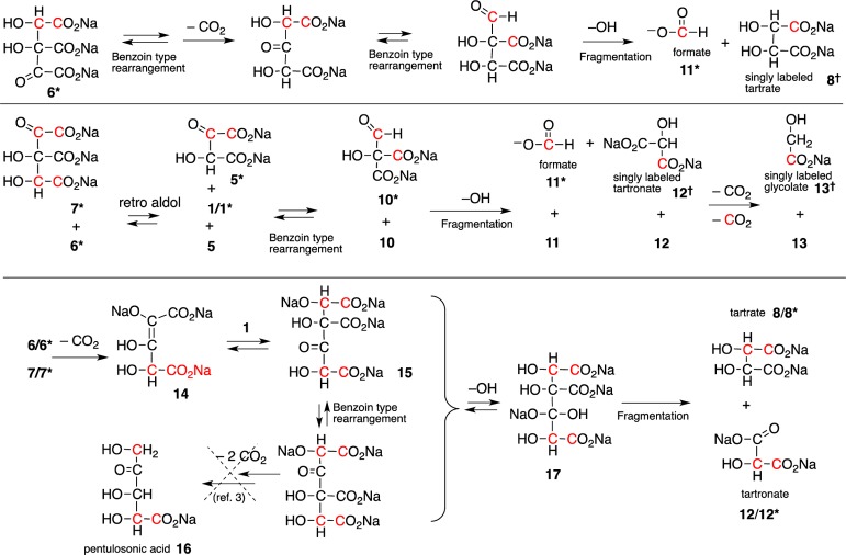 Scheme 4