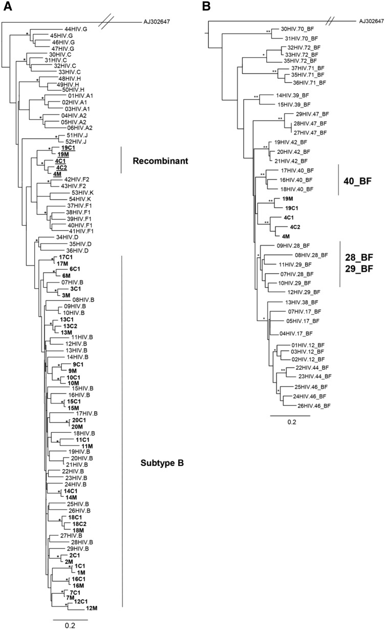 FIG. 1.