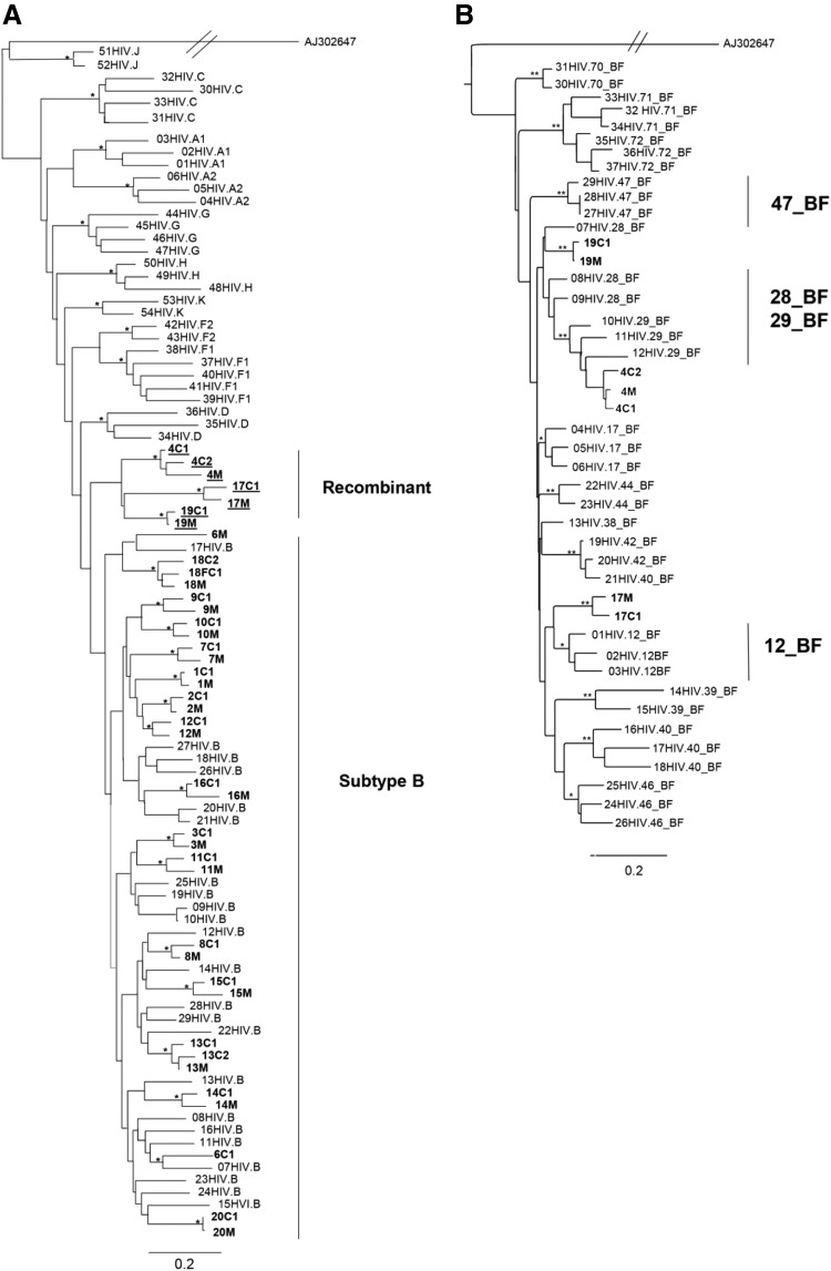 FIG. 2.