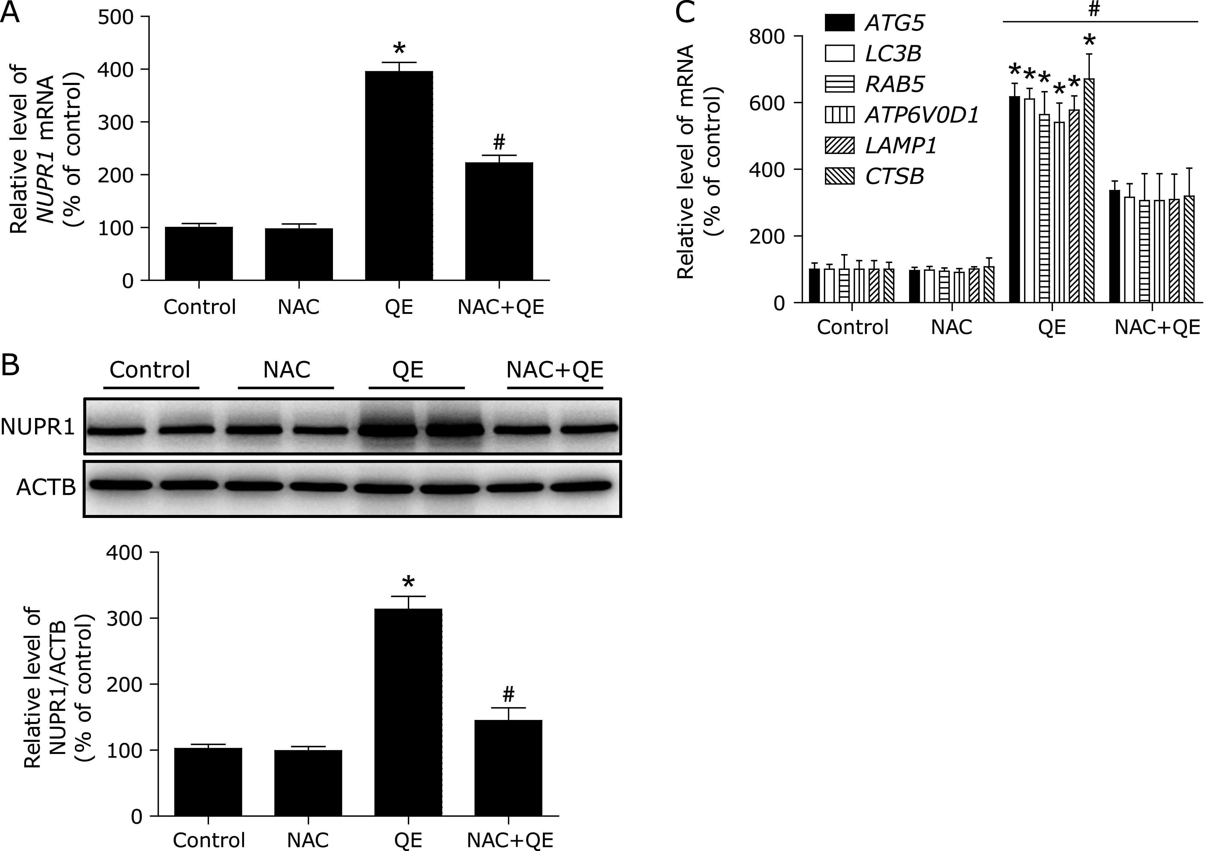 Fig. 7