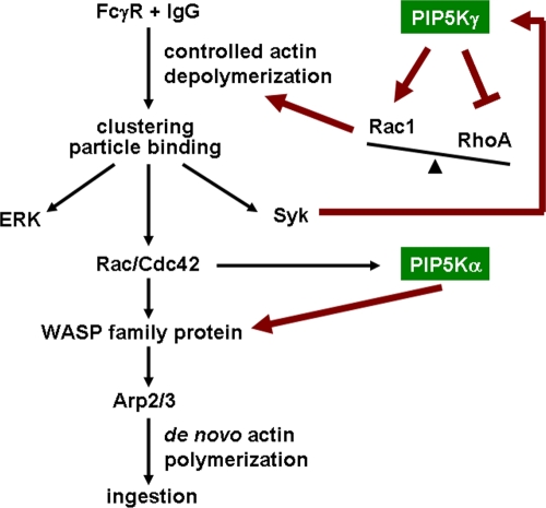 Figure 9.