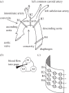 Figure 4.