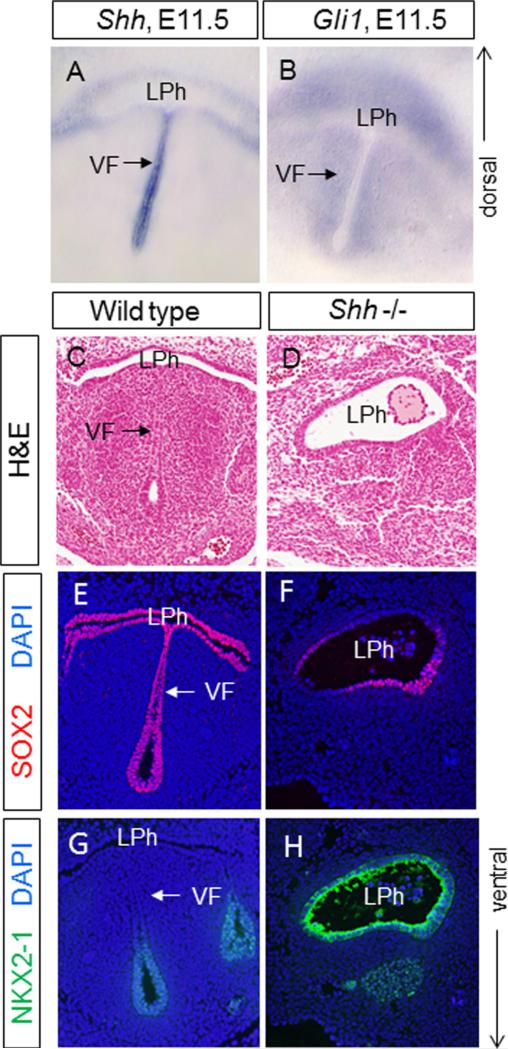 Fig.14