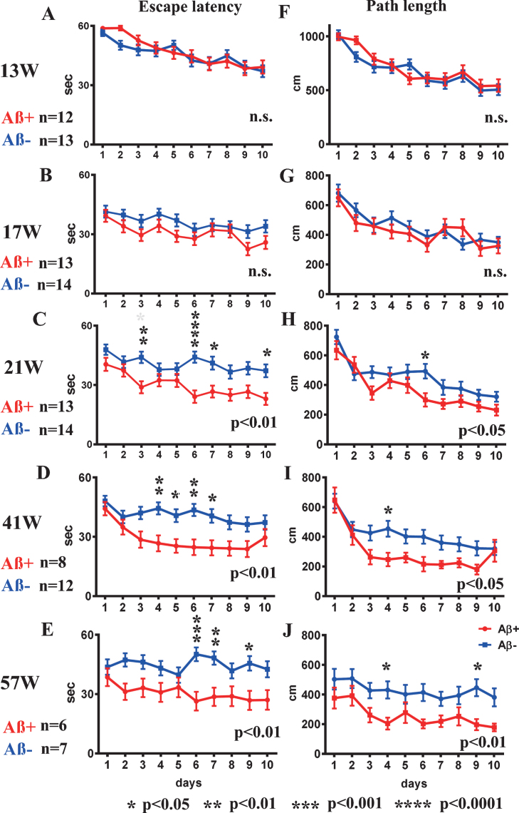 Fig.2