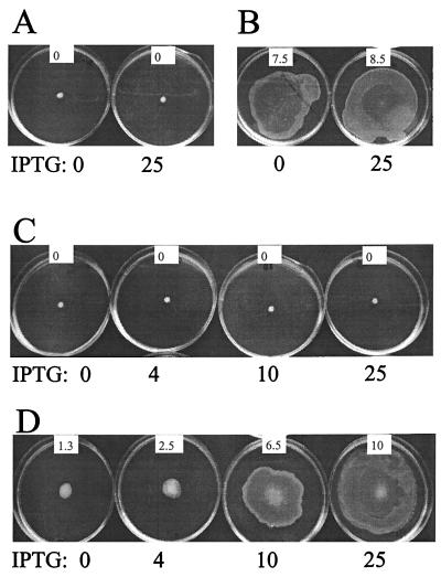 FIG. 1