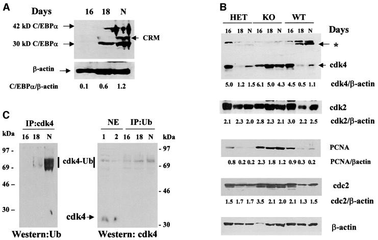 graphic file with name cdf106f3.jpg