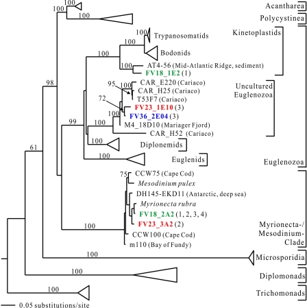 FIG. 8.