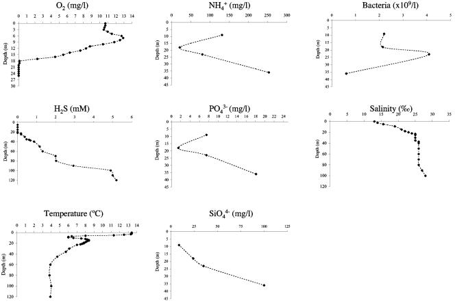 FIG. 1.