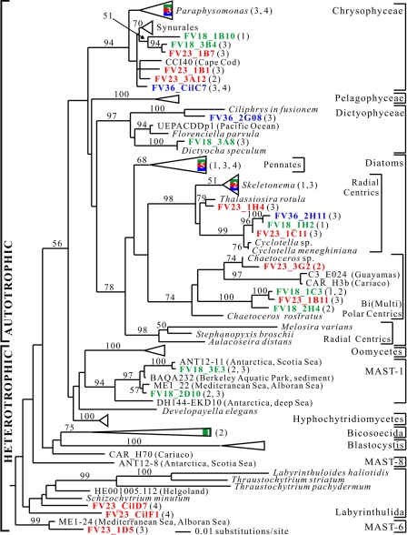 FIG. 6.