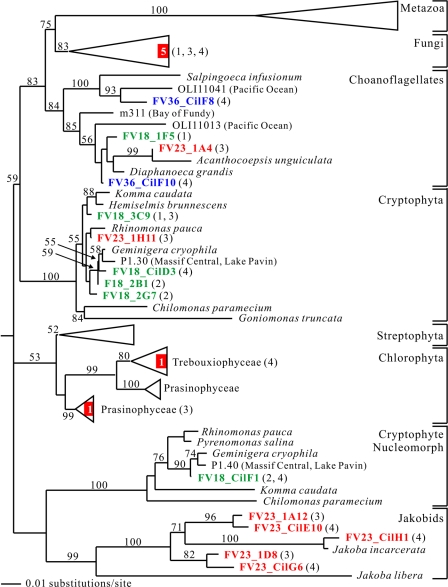 FIG. 7.