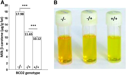 Figure 2.—