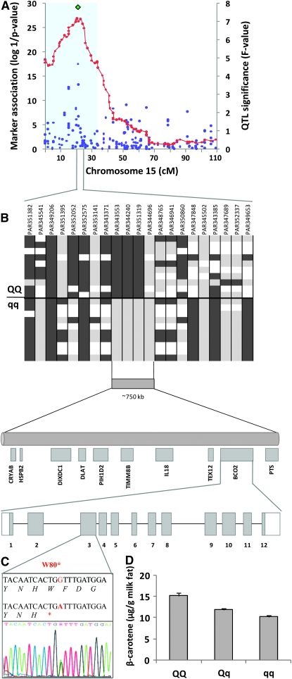 Figure 1.—