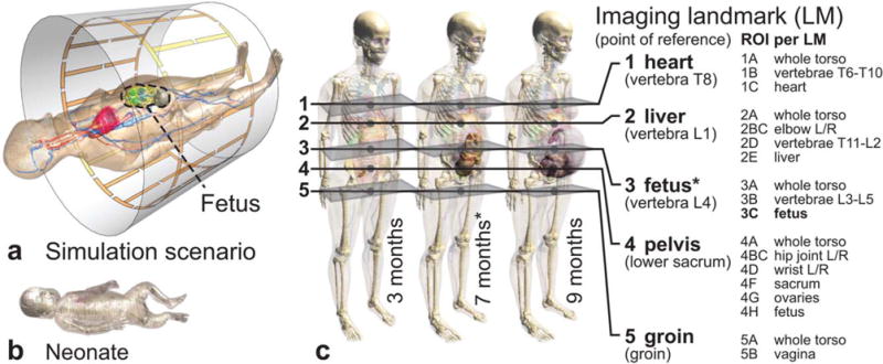 FIG. 1