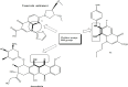 Figure 6b