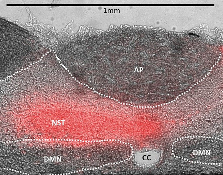 Fig. 6.