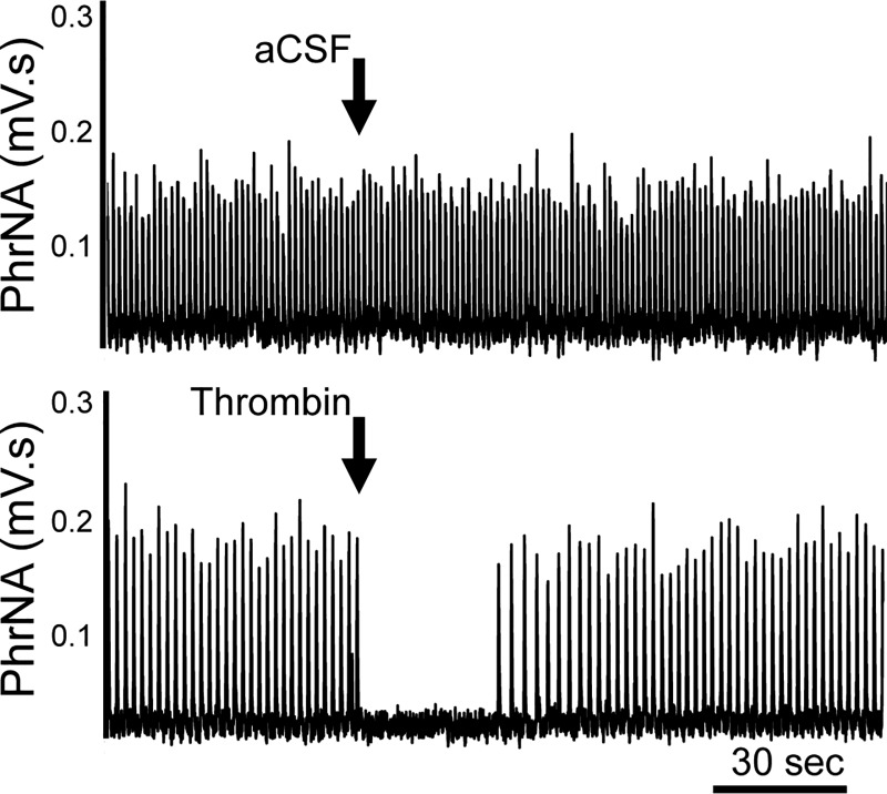 Fig. 8.