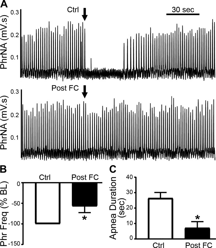 Fig. 10.