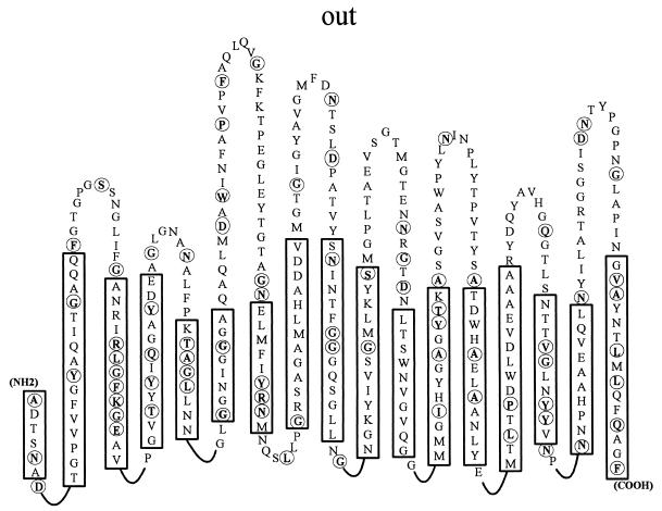 FIG. 6