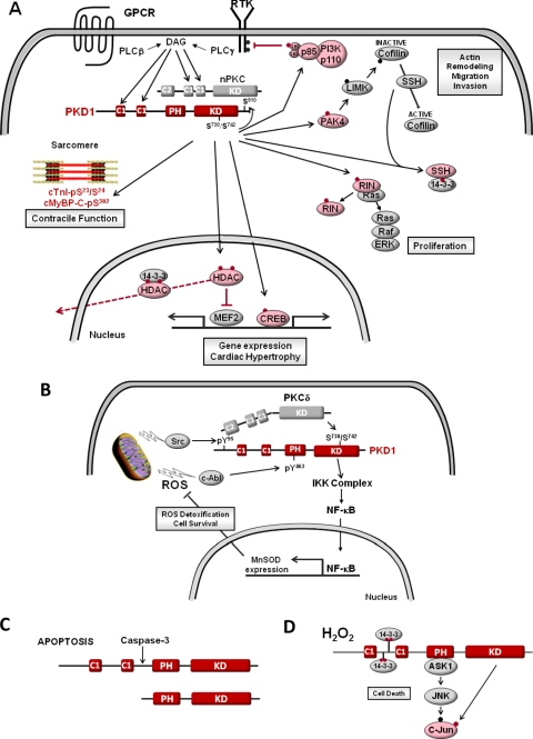 Fig. 2.