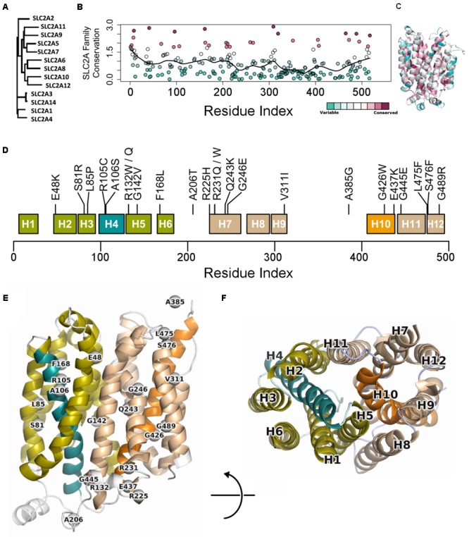 FIGURE 1