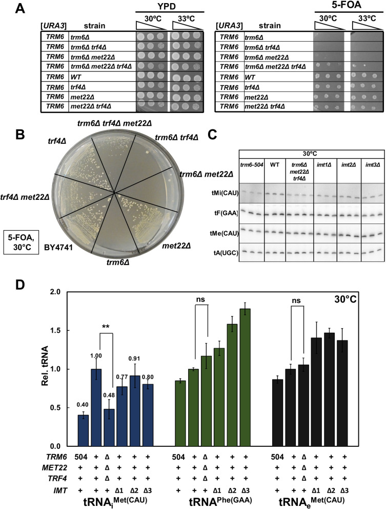 Fig 8