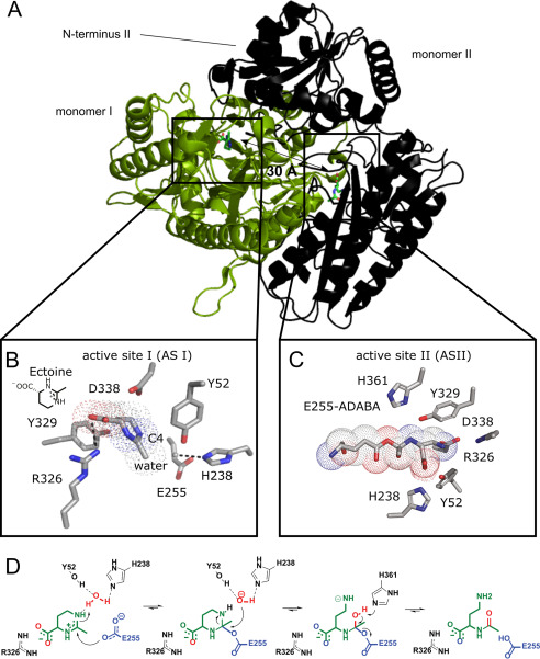 Figure 3.