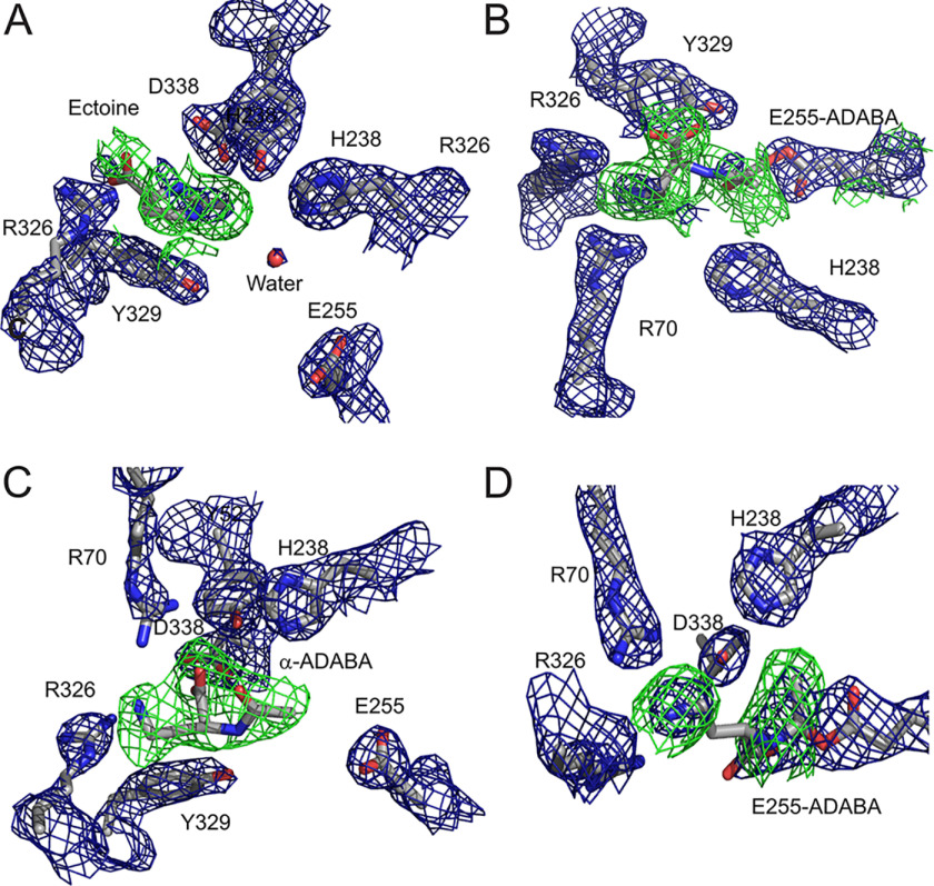 Figure 4.