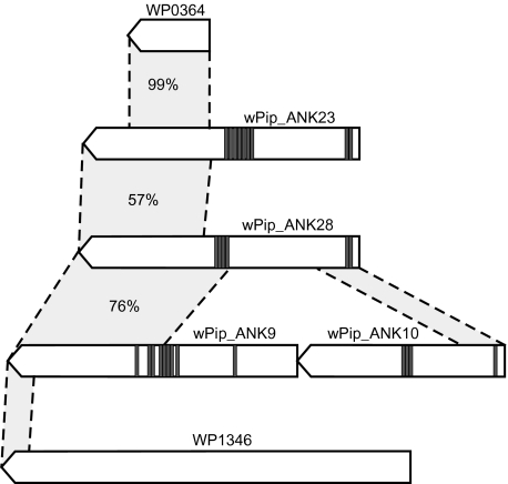 FIG. 5.—