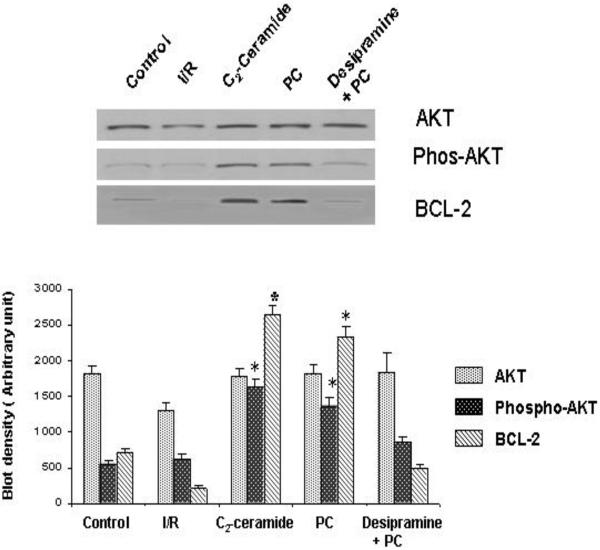 Fig 8