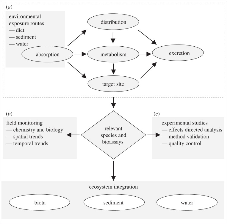 Figure 1.