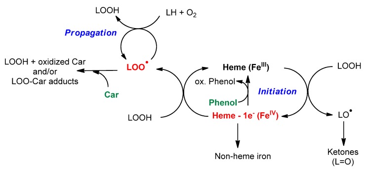 Scheme 4