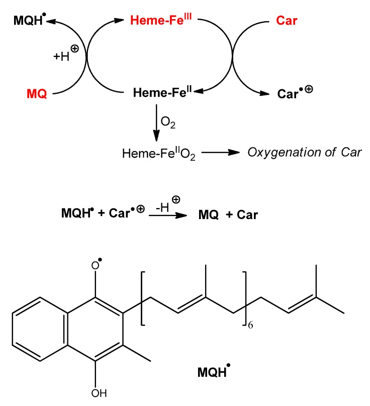 Scheme 2