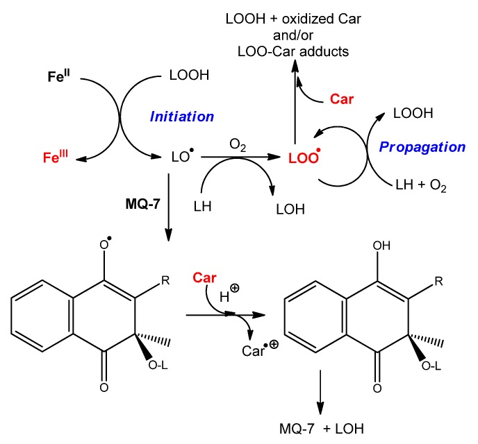 Scheme 3