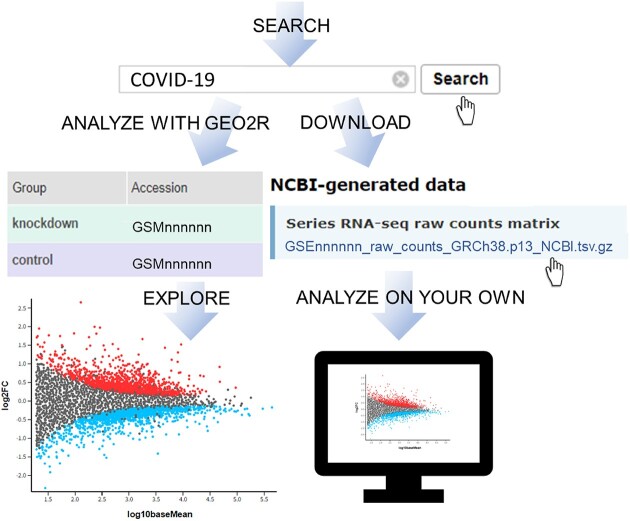 Graphical Abstract