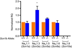 Figure 5