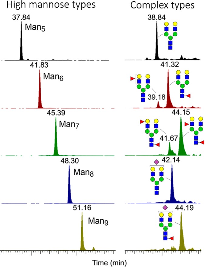 Fig. 2.