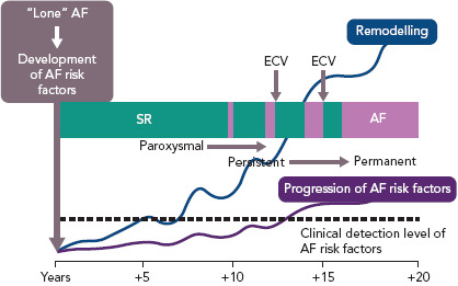 Figure 5: