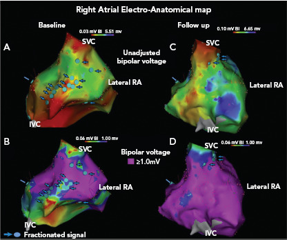 Figure 2: