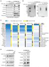 Extended Data Fig. 3.