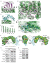 Fig. 3.