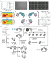 Extended Data Fig. 1.