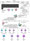 Extended Data Fig. 8 |