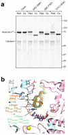 Extended Data Fig. 12 |